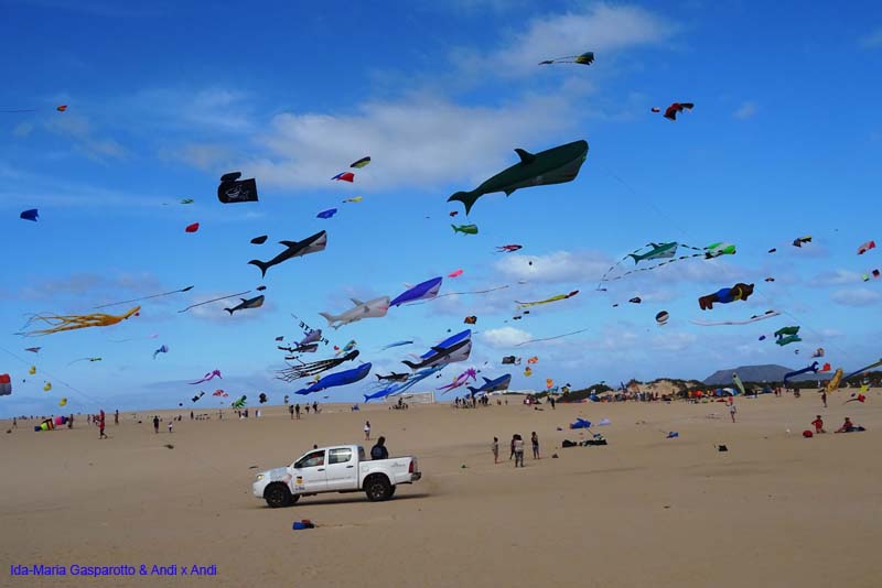 Fuerteventura 16_049