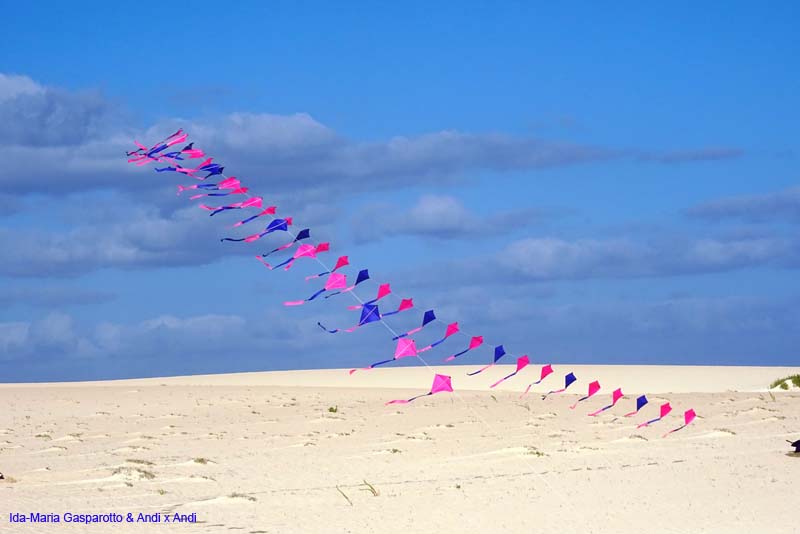 Fuerteventura 16_053