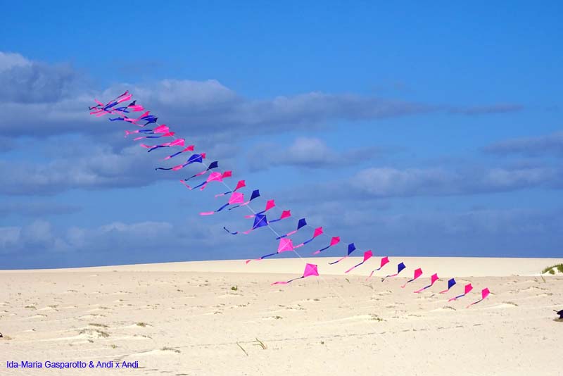 Fuerteventura 16_053