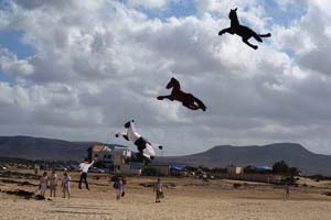 Fuerteventura 16_027