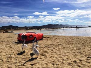 Fuerte
                  18_008