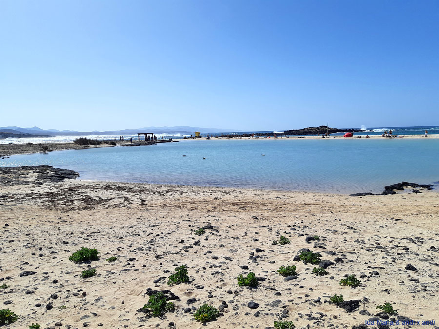 Fuerteventura 22 (15)