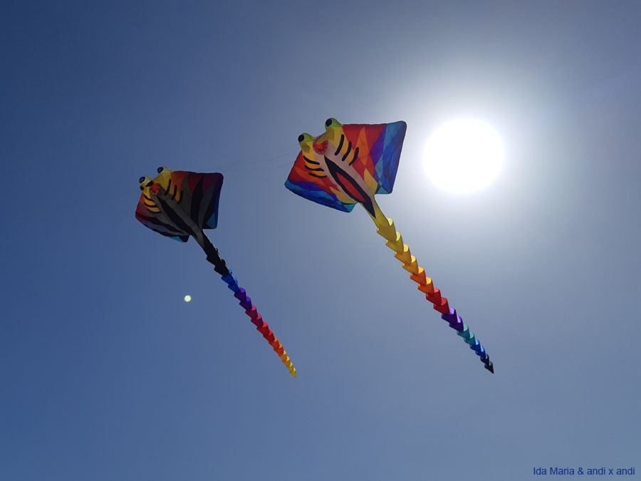 Fuerteventura 22 (21)