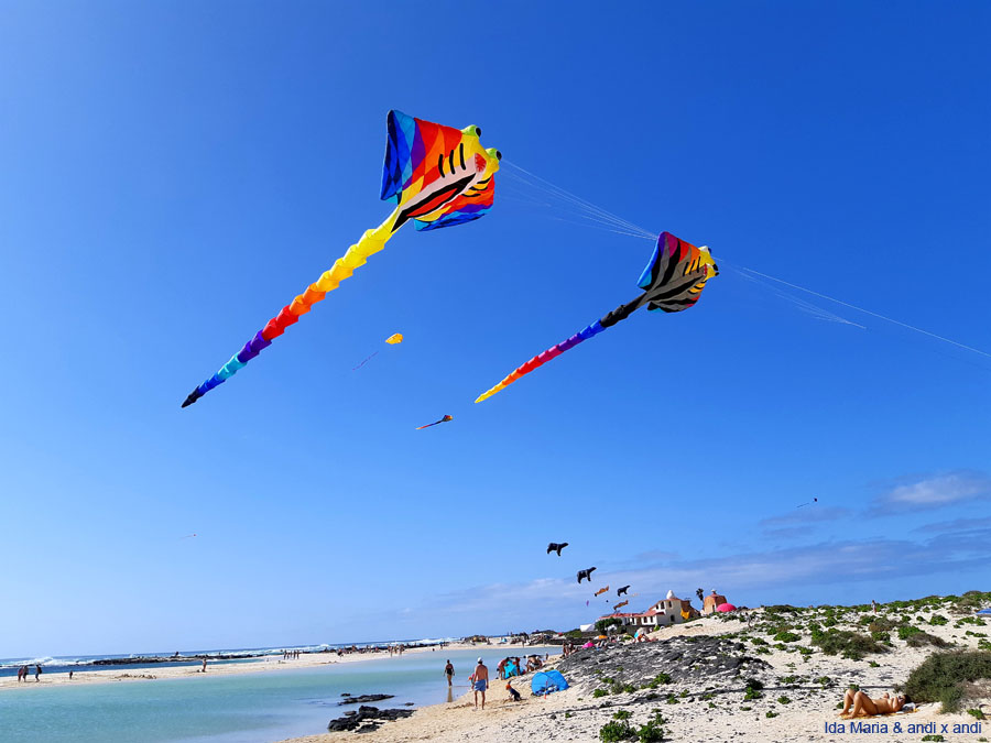 Fuerteventura 22 (22)