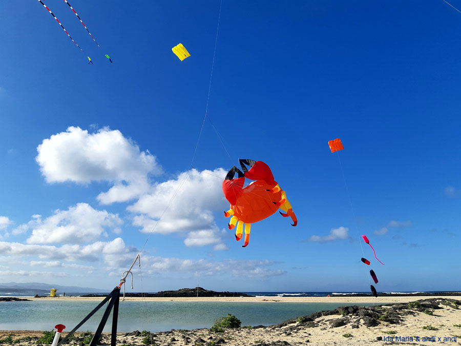 Fuerteventura 22 (28)
