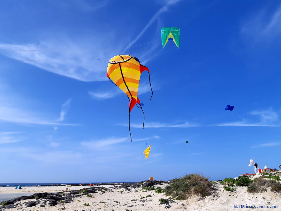 Fuerteventura 22 (44)