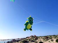 Fuerteventura 22
                                        (12)