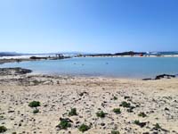 Fuerteventura 22
                                        (15)