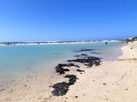 Fuerteventura 22
                                        (16)