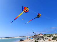 Fuerteventura 22
                                        (22)