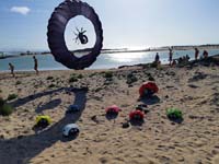 Fuerteventura 22
                                        (24)