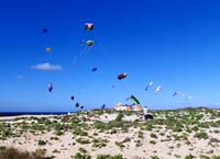 Fuerteventura 22
                                        (27)