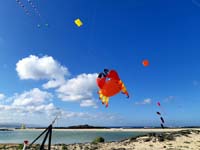 Fuerteventura 22
                                        (28)