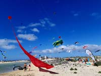 Fuerteventura 22
                                        (29)