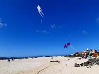 Fuerteventura 22
                                        (3)