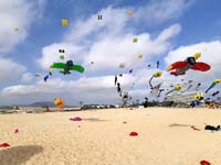 Fuerteventura 22
                                        (38)