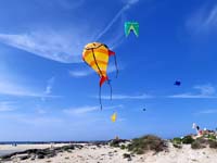 Fuerteventura 22
                                        (44)