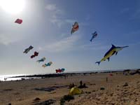 Fuerteventura 22
                                        (47)