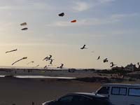 Fuerteventura 22
                                        (48)