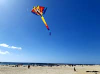 Fuerteventura 22
                                        (5)
