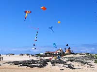 Fuerteventura 22
                                        (6)