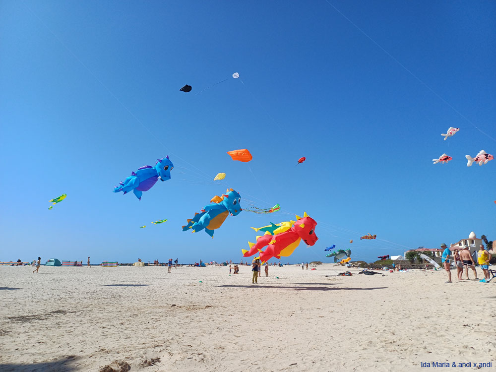 Fuerteventura 24 (12)
