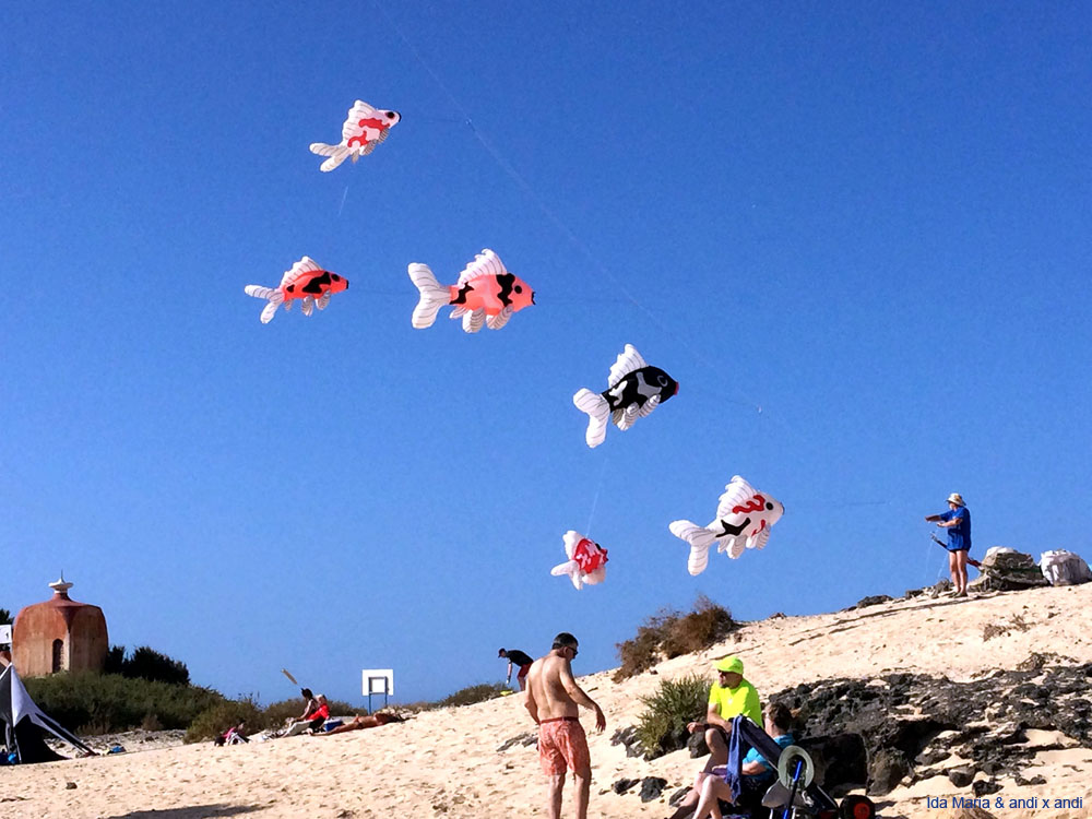 Fuerteventura 24 (17)
