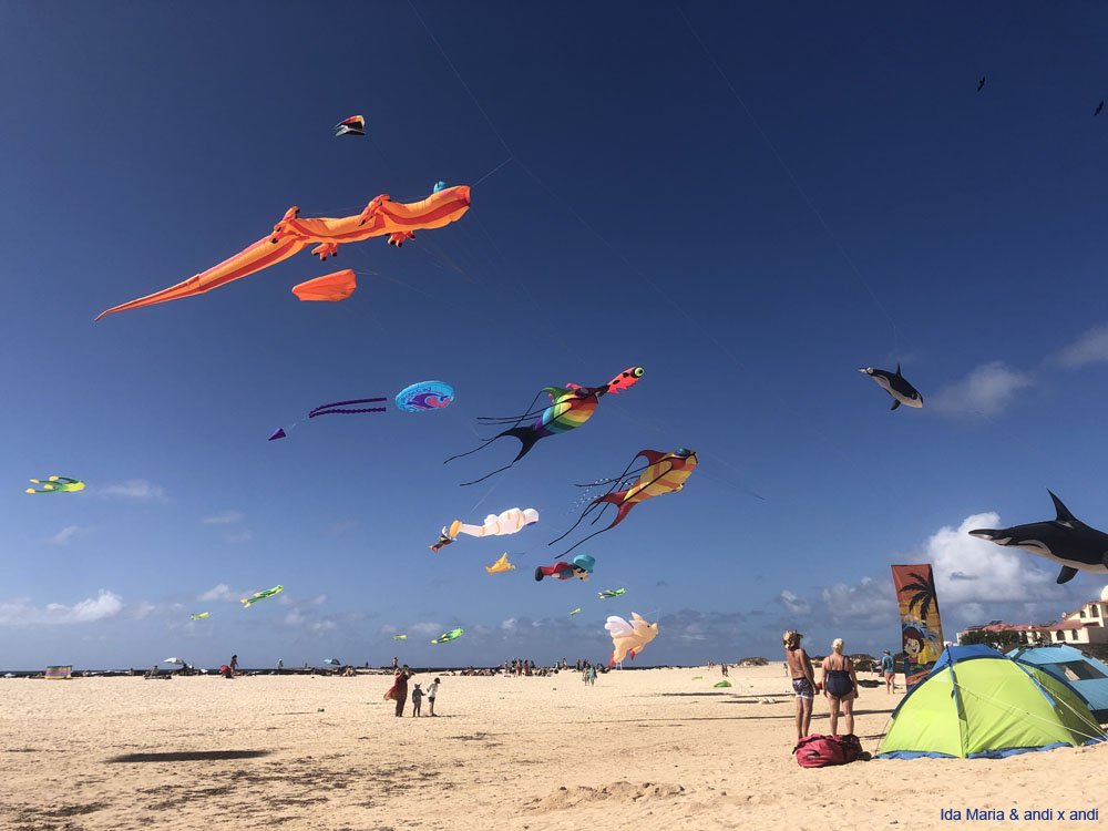 Fuerteventura 24 (34)