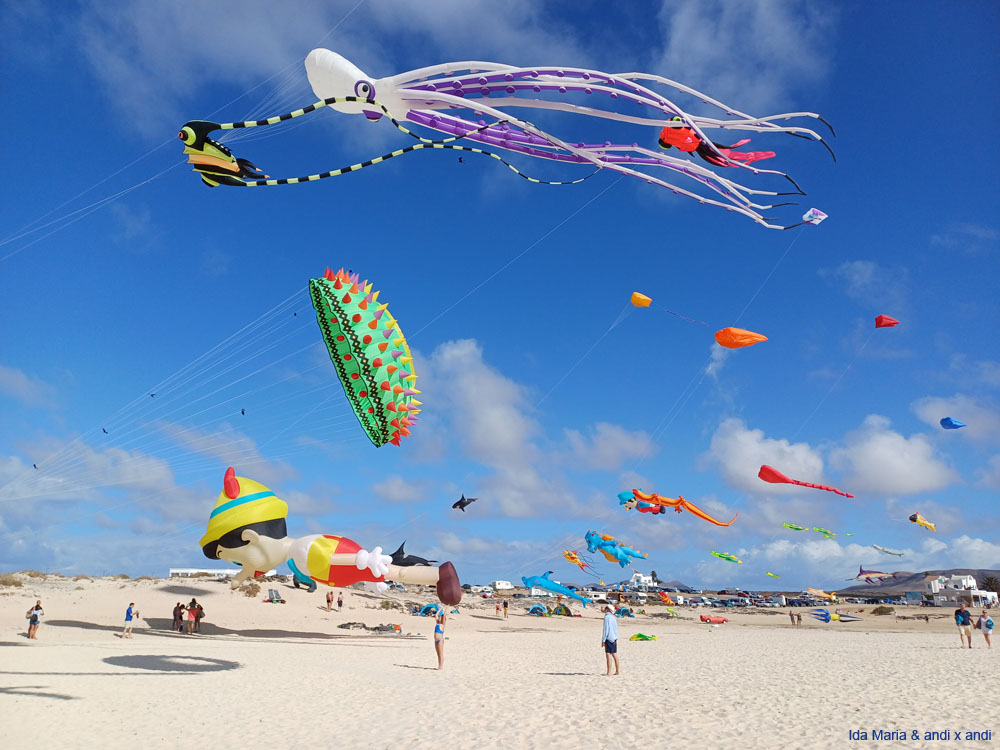 Fuerteventura 24 (38)