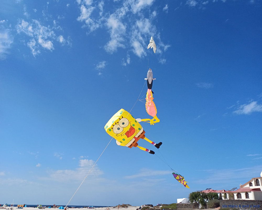 Fuerteventura 24 (89)