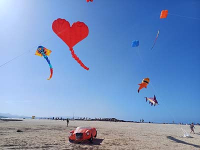 Fuerteventura 24
                                        (11)