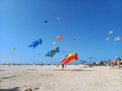 Fuerteventura 24
                                        (12)