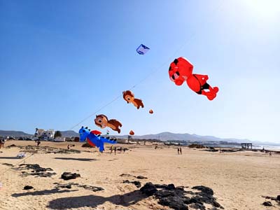 Fuerteventura 24
                                        (14)