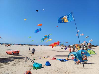 Fuerteventura 24
                                        (16)