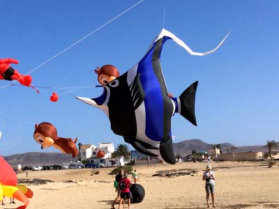 Fuerteventura 24
                                        (19)