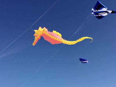 Fuerteventura 24
                                        (20)