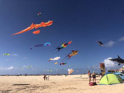 Fuerteventura 24
                                        (34)