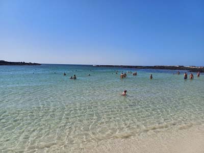 Fuerteventura 24
                                        (4)
