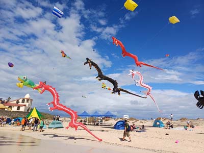 Fuerteventura 24
                                        (50)