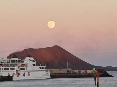 Fuerteventura 24
                                        (61)