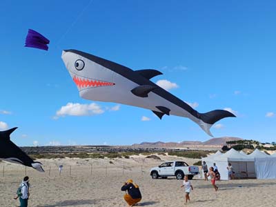 Fuerteventura 24
                                        (63)