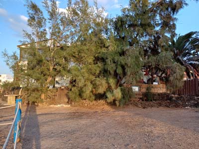 Fuerteventura 24
                                        (83)