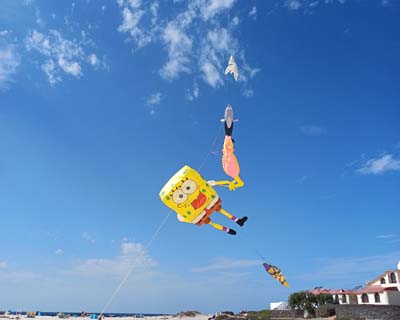 Fuerteventura 24
                                        (89)