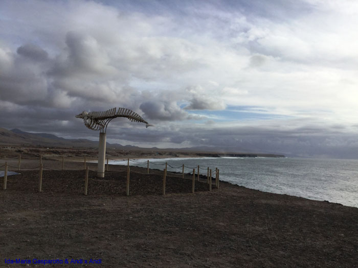 Fuerteventura 19(15)