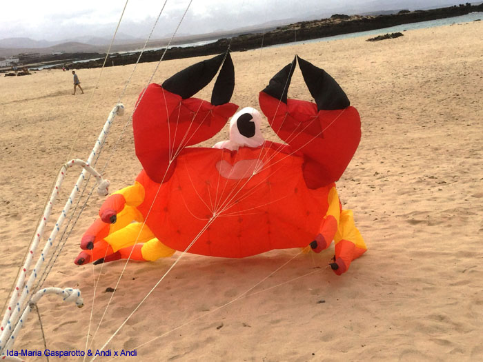 Fuerteventura 19(29)