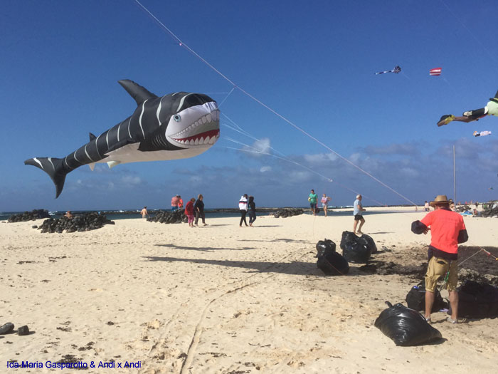 Fuerteventura 19(32)