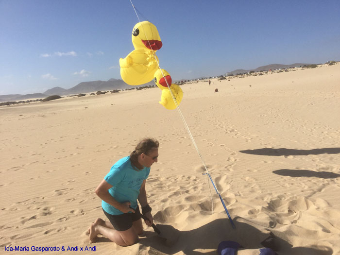 Fuerteventura 19(40)
