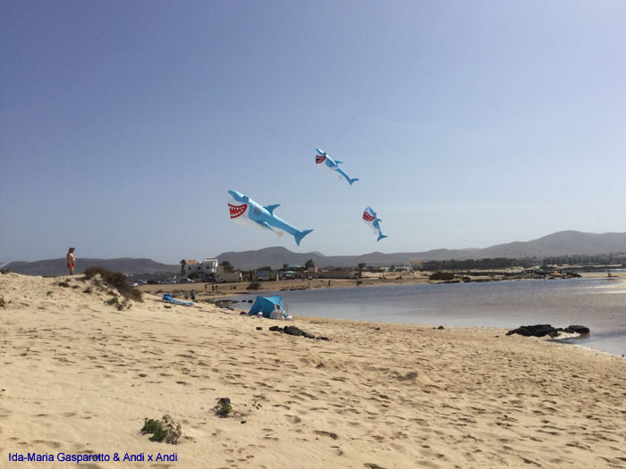 Fuerteventura 19(5)