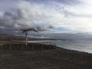 Fuerteventura 19(15)