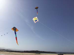 Fuerteventura 19(2)